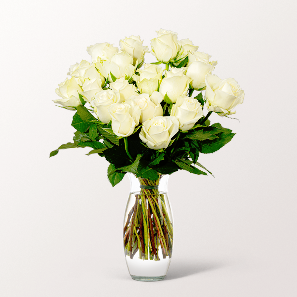 20 weiße Fairtrade Rosen im Bund